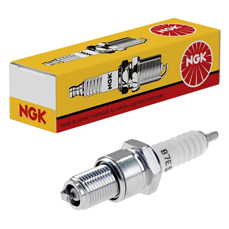 ngk1.jpg
