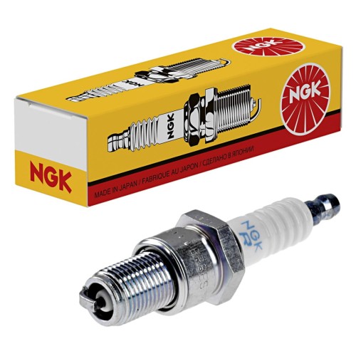 NGK6.jpg