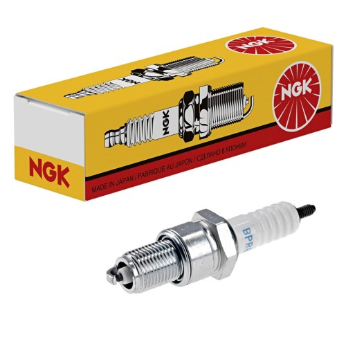 NGK9.jpg