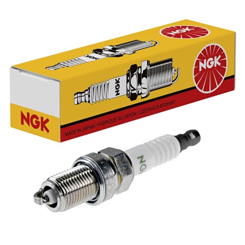NGK11.jpg