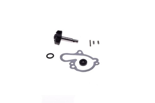 pompa-cieczy-Minarelli-AM6